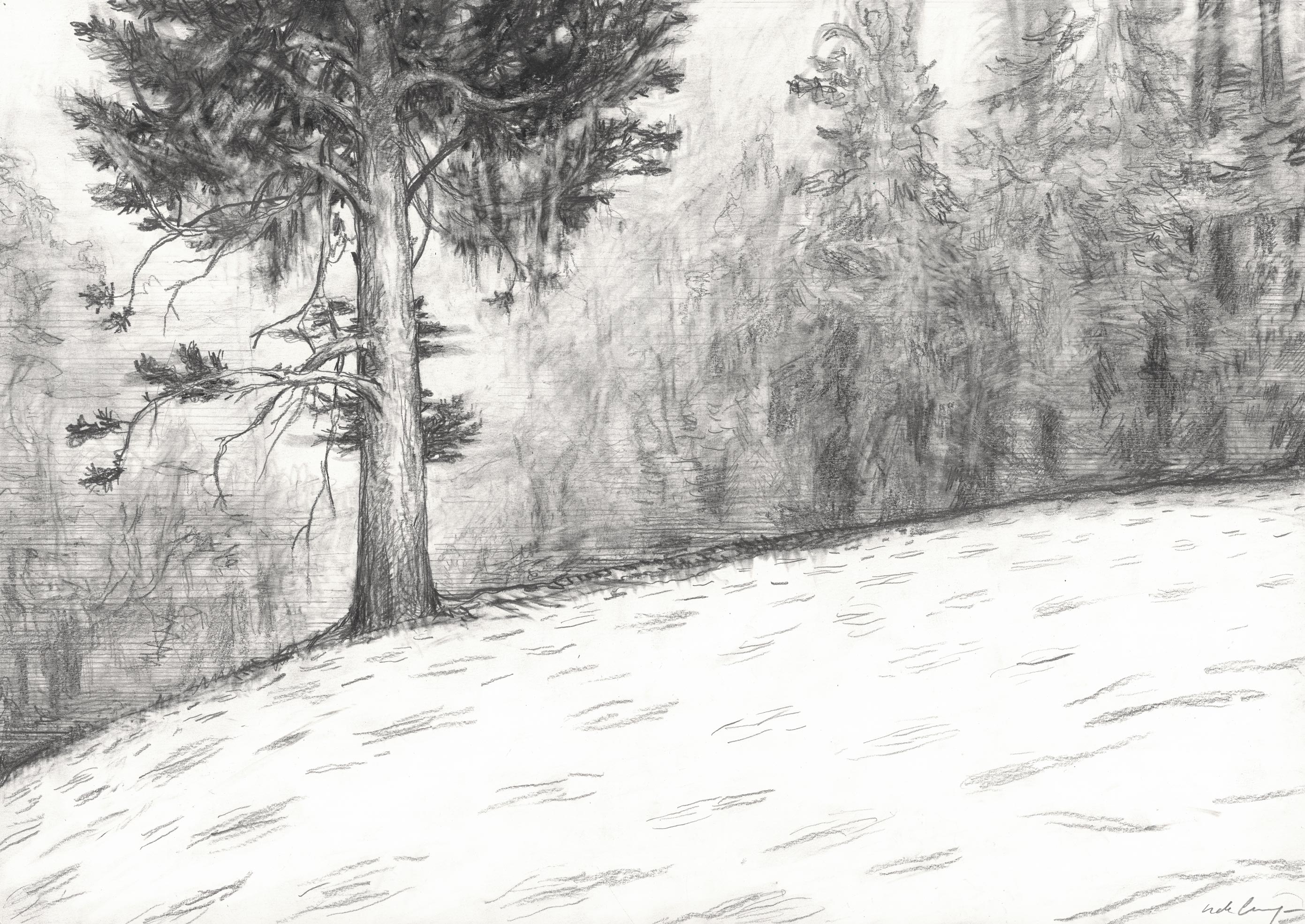 Vall�e de la Clar�e, 2, 2023